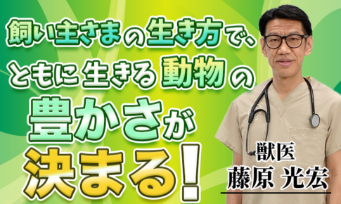 飼い主さまの生き方で、ともに生きる動物の豊かさが決まる！【藤原 光宏 / 獣医】